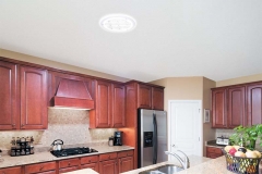 natural lighting co 290DS_Kitchen_Chicago